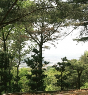 김포수목장